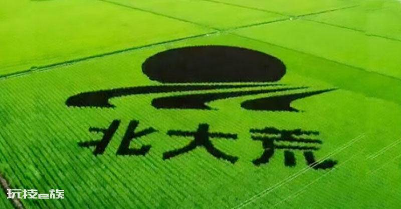 北大仓是指我国哪个省(如今为什么要将北大仓退耕还荒)-图片1